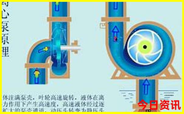 新澳门六和彩今晚开奖资料2025年十二生肖图