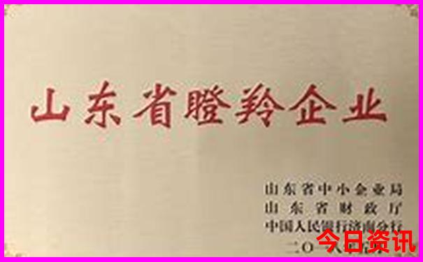 暑假可以去哪些地方玩