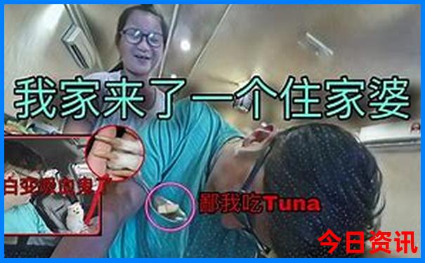 旅游夏天推荐地区